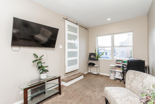 office area featuring carpet flooring