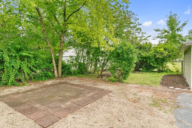 view of yard with a patio