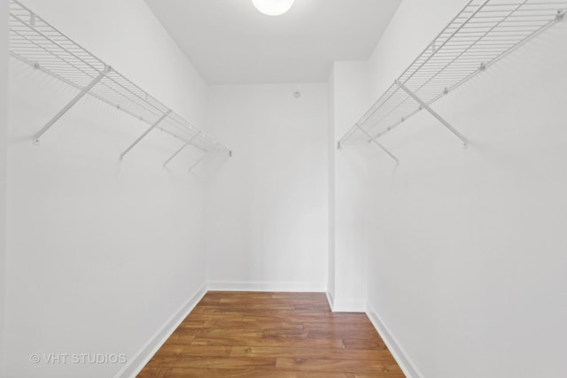 spacious closet with hardwood / wood-style flooring