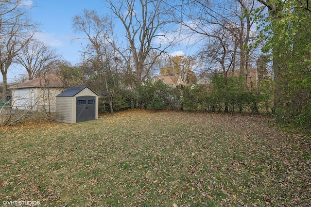 view of yard with a storage unit