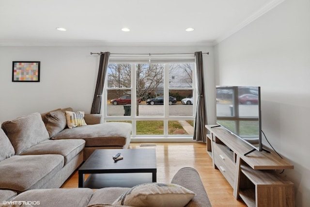 living room with light hardwood / wood-style floors and crown molding