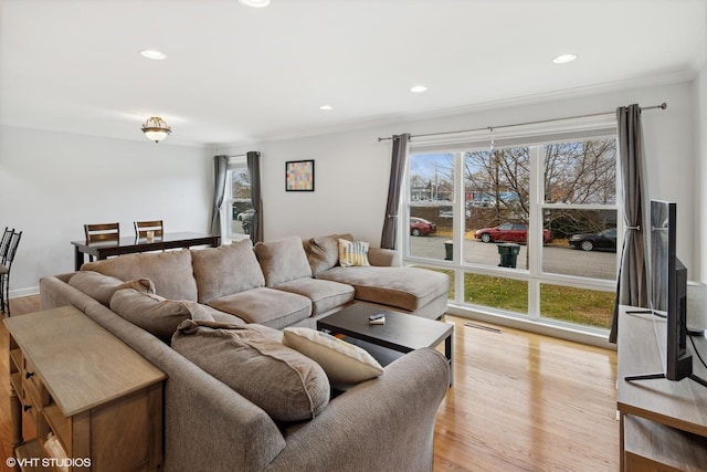 living room with light hardwood / wood-style floors, crown molding, and a healthy amount of sunlight