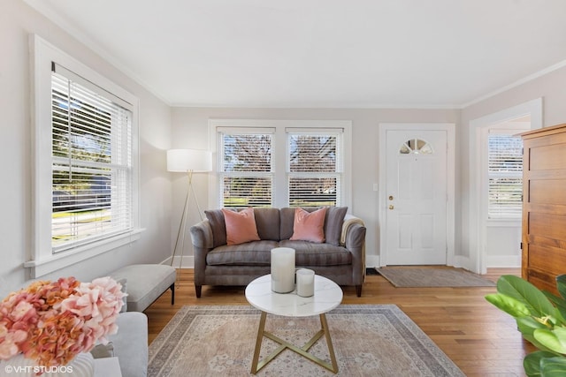 living room featuring light wood-type flooring, plenty of natural light, and ornamental molding