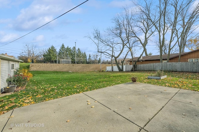 view of yard with a patio area