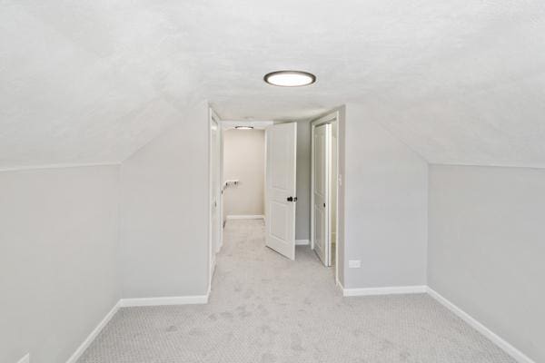 additional living space with light carpet and vaulted ceiling