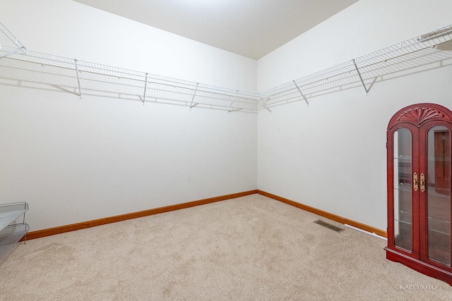 spacious closet featuring carpet