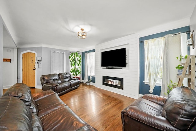 living room featuring hardwood / wood-style flooring and a large fireplace