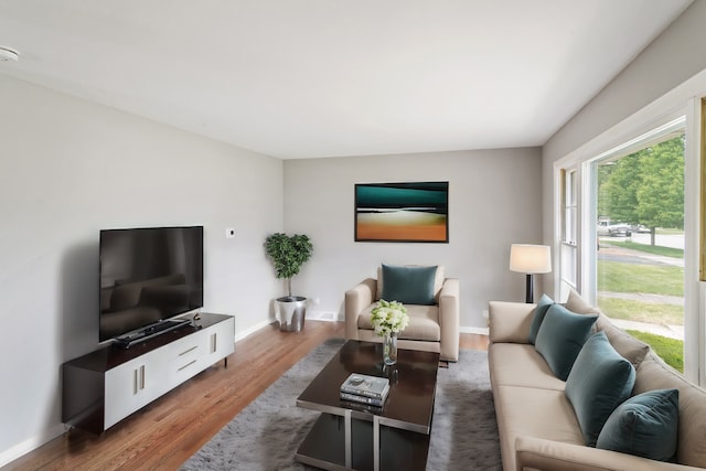 living room featuring wood-type flooring