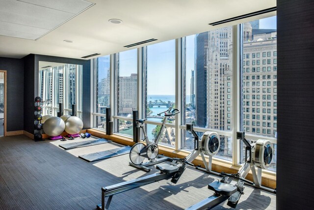 workout area featuring a water view, expansive windows, and carpet floors