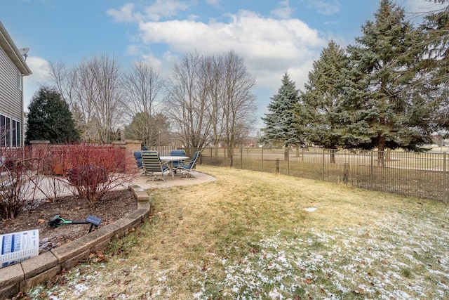 view of yard featuring a patio