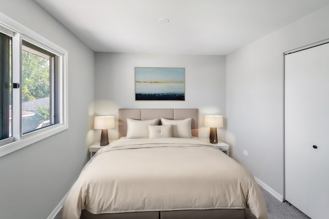 bedroom featuring carpet floors and a closet