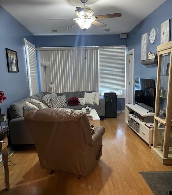 living room featuring ceiling fan and light hardwood / wood-style flooring