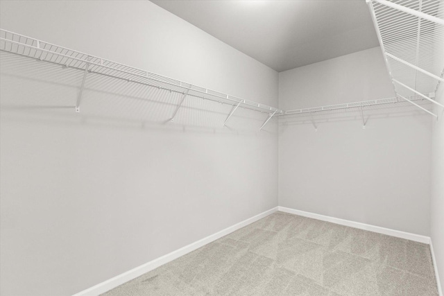 walk in closet with carpet