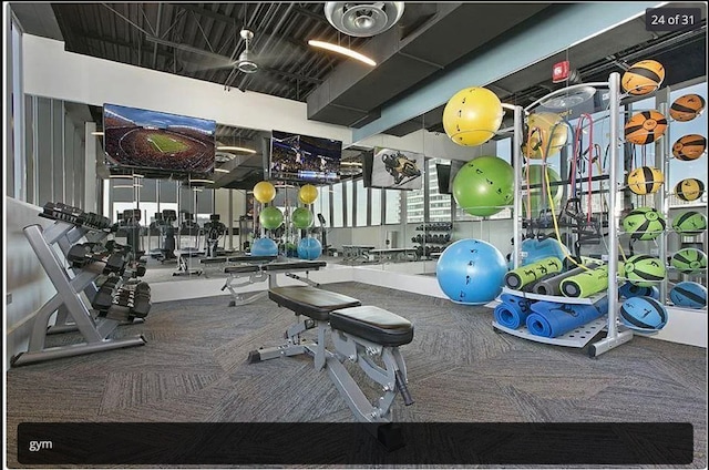 workout area with carpet