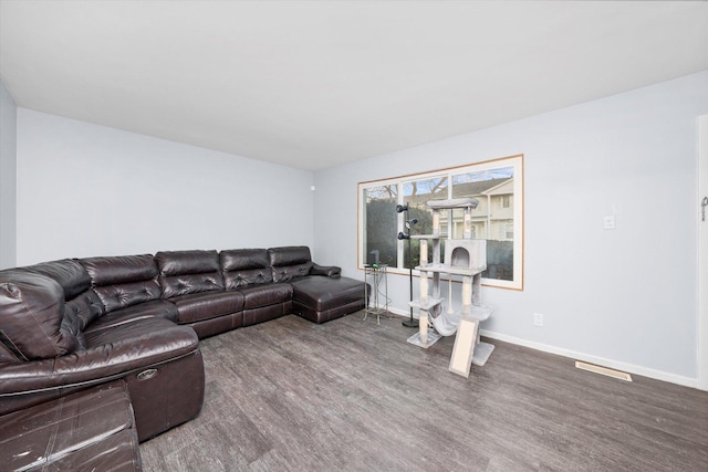 living room featuring wood-type flooring