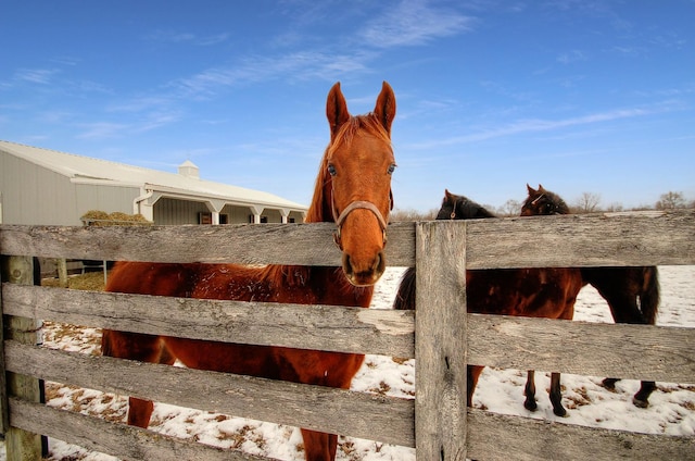 view of stable