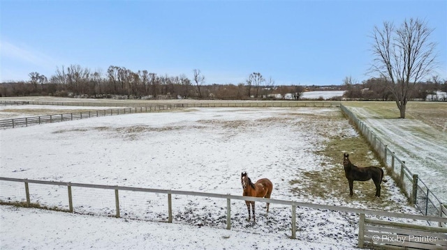 view of yard with a rural view