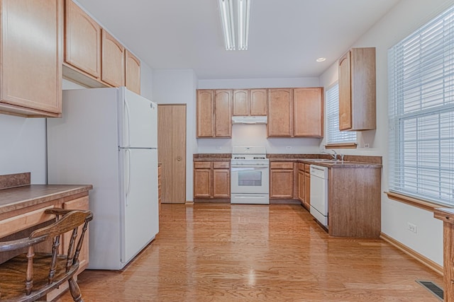 kitchen featuring light brown cabinets, light hardwood / wood-style flooring, white appliances, and sink