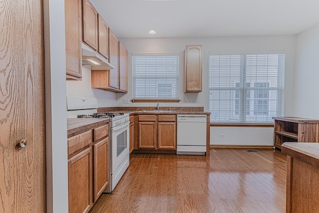 kitchen featuring white appliances, sink, a wealth of natural light, and light hardwood / wood-style flooring