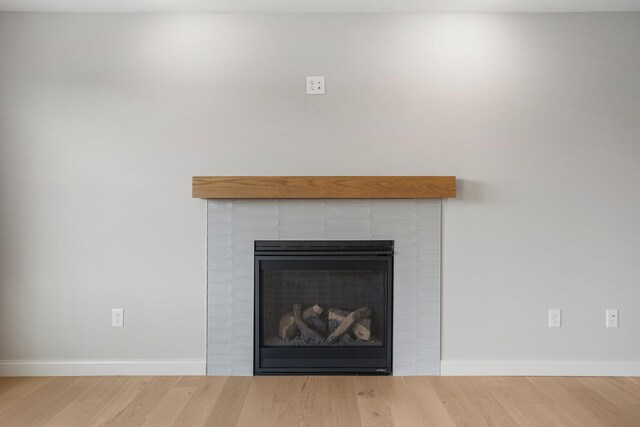 507 Wheatley Dr, Mahomet, IL 61853 - details featuring baseboards, wood finished floors, and a glass covered fireplace