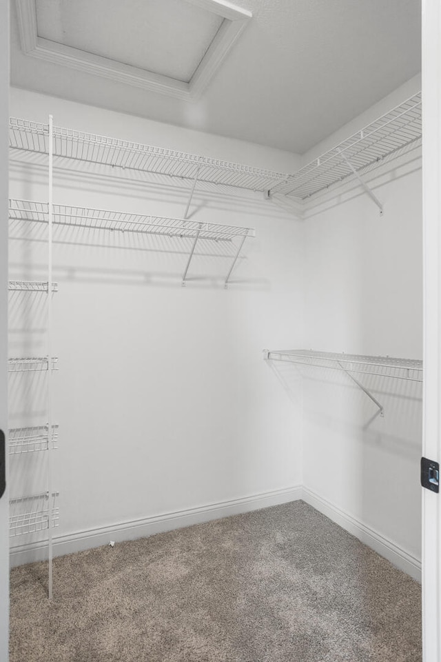 507 Wheatley Dr, Mahomet, IL 61853 - spacious closet with carpet floors and attic access