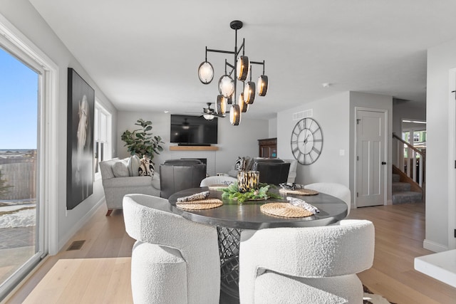 dining area featuring ceiling fan with notable chandelier, a wealth of natural light, and light hardwood / wood-style flooring