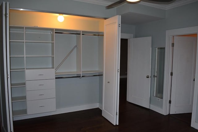 view of closet