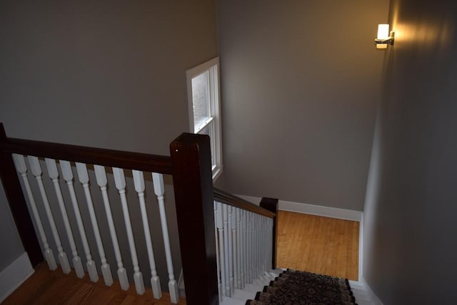 stairway with wood-type flooring