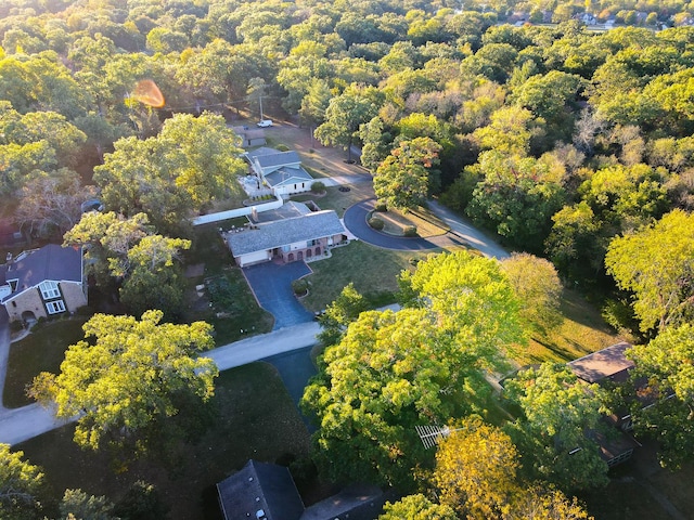 bird's eye view