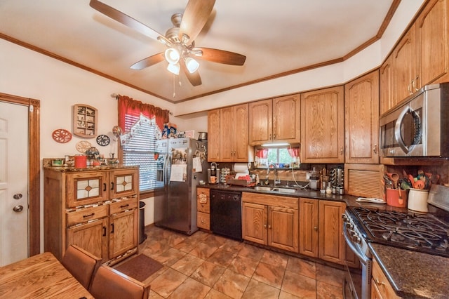 kitchen with a healthy amount of sunlight, ceiling fan, sink, and stainless steel appliances