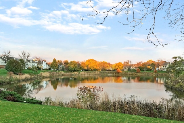 property view of water