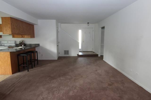 carpeted living room with sink