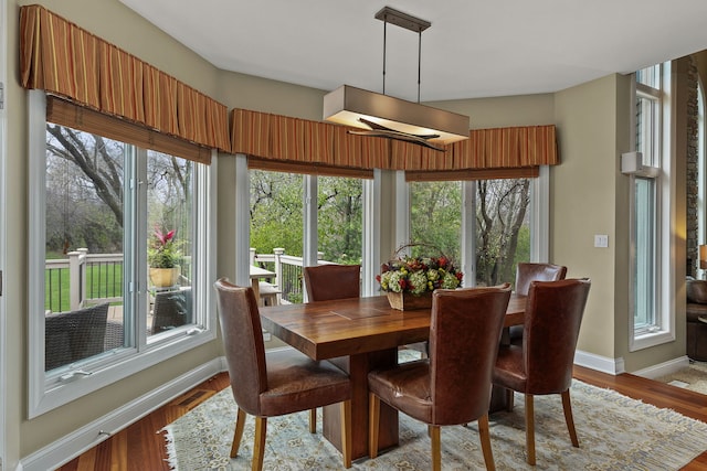 dining room with light hardwood / wood-style floors