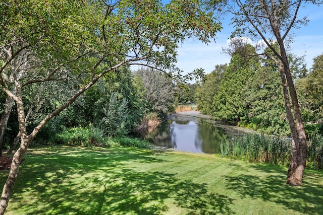 view of yard with a water view