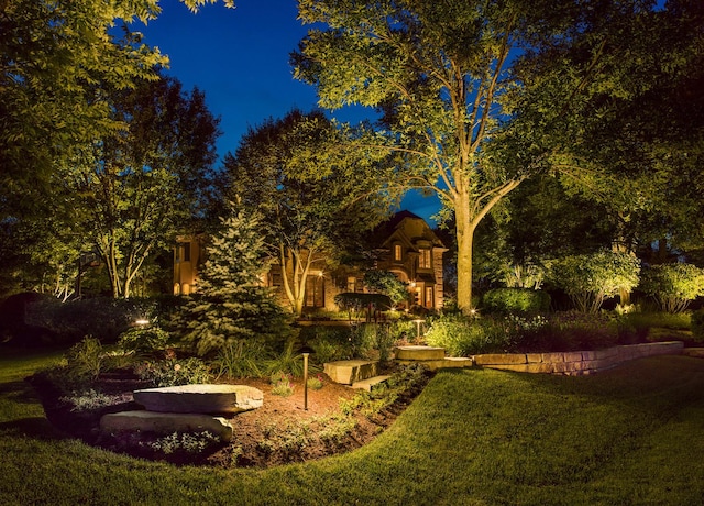 view of yard at night