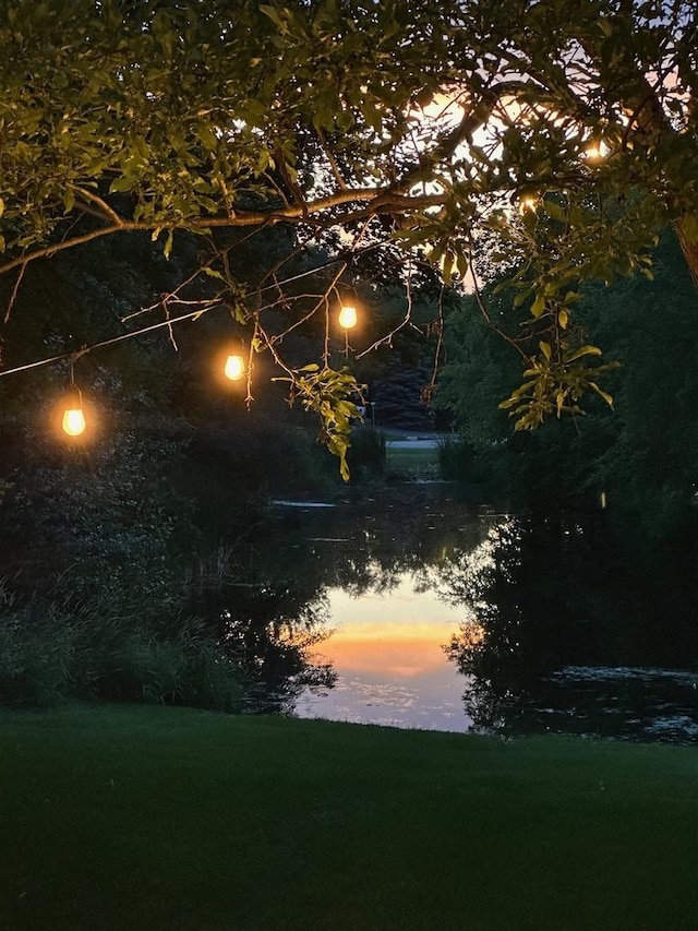 view of nature at dusk