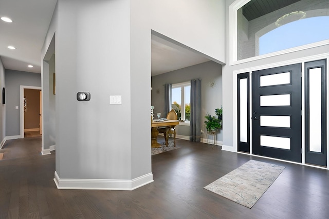 entrance foyer with dark hardwood / wood-style flooring and a high ceiling