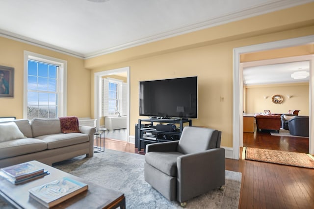 living room with crown molding and wood-type flooring