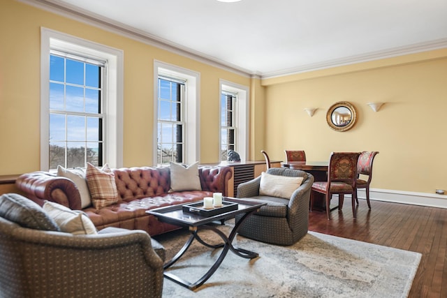 living room featuring crown molding, dark hardwood / wood-style flooring, and a baseboard radiator