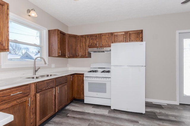 kitchen featuring sink, white appliances, dark hardwood / wood-style floors, and a healthy amount of sunlight