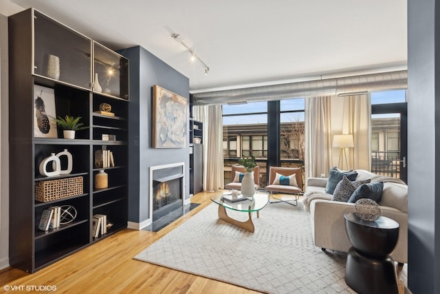 living room featuring hardwood / wood-style floors and track lighting