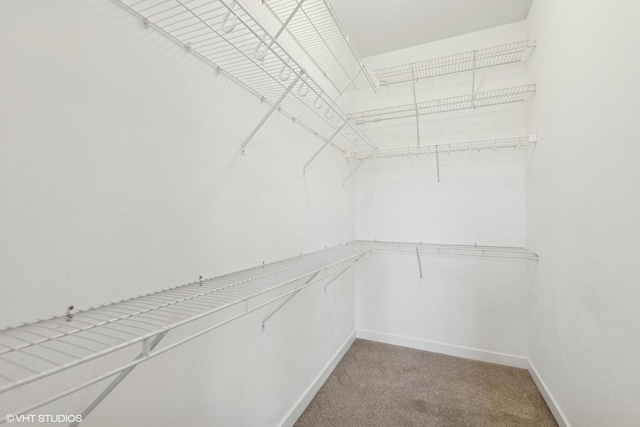 walk in closet featuring light colored carpet