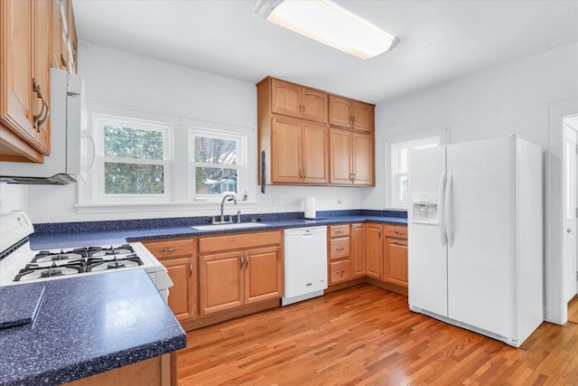 kitchen featuring sink, light hardwood / wood-style floors, and white appliances