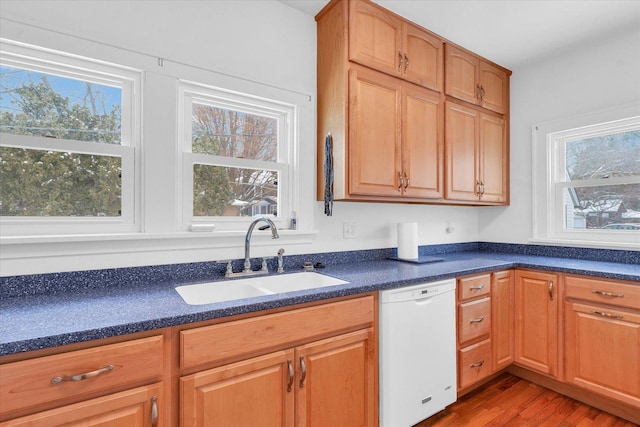 kitchen featuring dishwasher, sink, and light hardwood / wood-style flooring