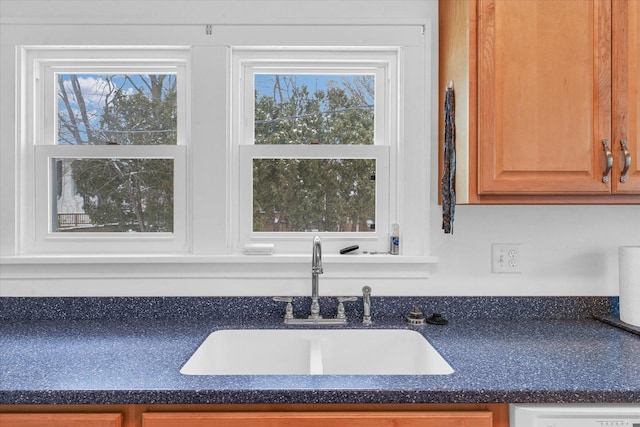 room details with dishwasher and sink