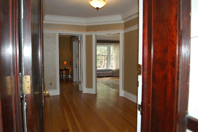 corridor with dark hardwood / wood-style flooring, radiator heating unit, and ornamental molding