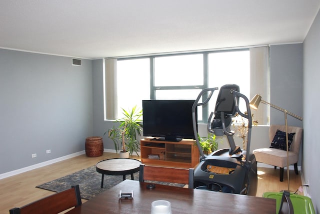 living room with hardwood / wood-style floors