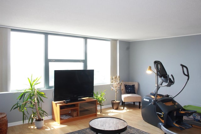 living room featuring hardwood / wood-style floors and a healthy amount of sunlight