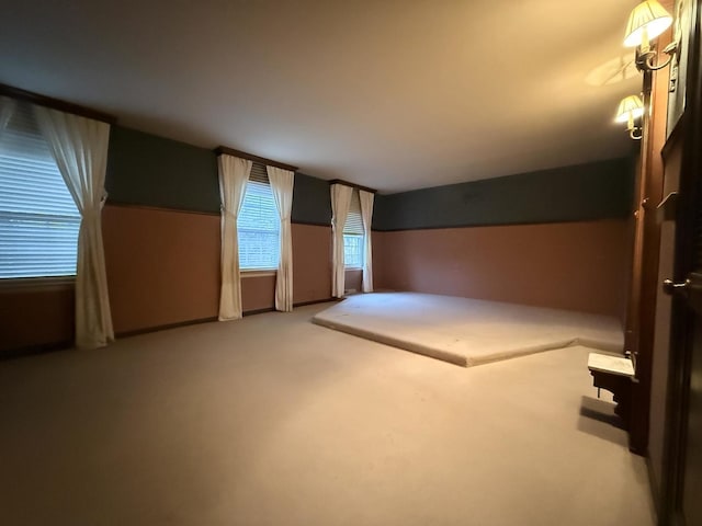 bonus room with carpet floors