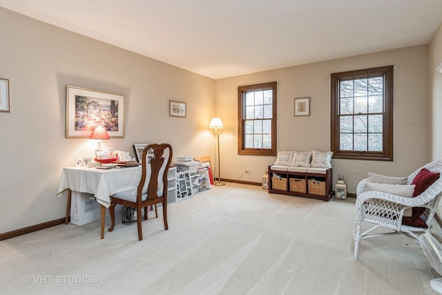 office with a healthy amount of sunlight and light colored carpet